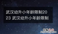武汉幼升小年龄限制2023 武汉幼升小年龄限制