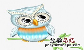 猫头鹰吃什么粮食 猫头鹰吃什么