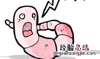 蚯蚓吃什么 蚯蚓吃什么 如何喂养