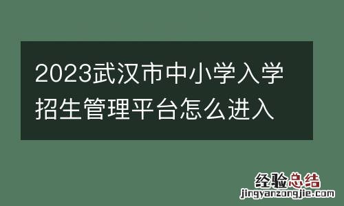 2023武汉市中小学入学招生管理平台怎么进入