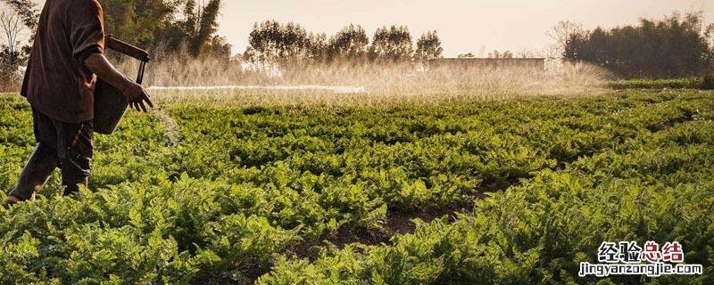 钙肥使用注意事项 钙肥的正确使用