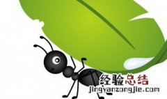 蚂蚁搬家井然有序仿写拟人句子 蚂蚁搬家井然有序仿写拟人句