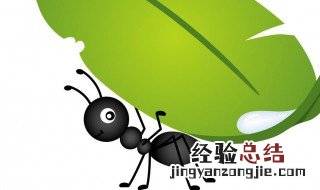 蚂蚁搬家井然有序仿写拟人句子 蚂蚁搬家井然有序仿写拟人句