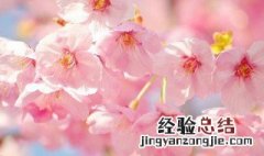 一见倾心的美句 一见倾心的美句短句