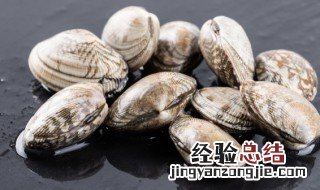 小白菜焖蛤蜊肉怎么做