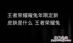 王者荣耀曜兔年限定新皮肤是什么 王者荣耀兔年限定皮肤是几款