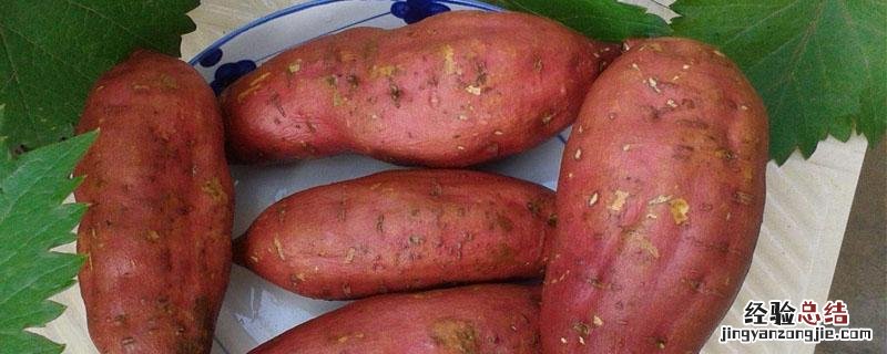 用烯效唑控制红薯旺长如何配比 烯效唑在红薯的用法和用量