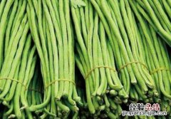 缸豆和豇豆有什么区别，吃豇豆的好处