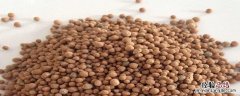 为什么氮磷钾要配合使用 氮磷钾使用先后顺序