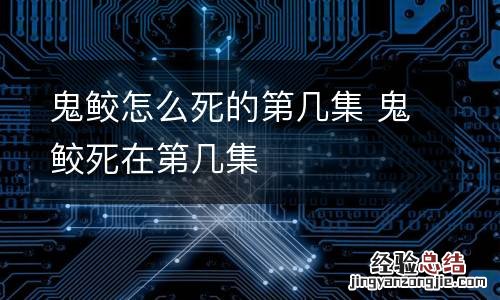 鬼鲛怎么死的第几集 鬼鲛死在第几集