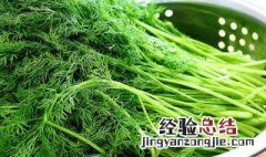 茴香菜怎么做软嫩 茴香菜怎么做软嫩好吃