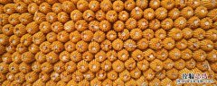 玉米除草剂什麽時候打好 玉米除草剂什麽時候打