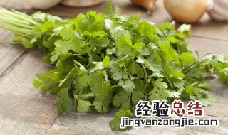香菜咸菜的腌制方法 朝鲜族香菜咸菜的腌制方法