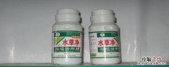 莠去津除草剂使用方法 莠去津除草剂除什么草