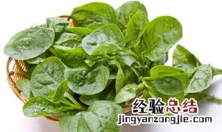 木耳菜不能和什么一起吃 木耳菜不能和什么一起吃吗