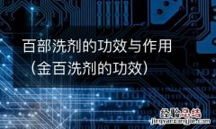金百洗剂的功效 百部洗剂的功效与作用