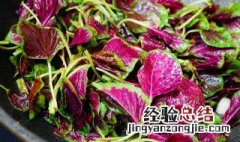苋菜忌什么一起吃 苋菜不能和啥一起吃