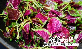 苋菜忌什么一起吃 苋菜不能和啥一起吃