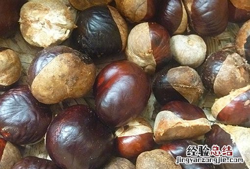 娑罗子 娑罗子的功效与作用