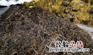 草木灰怎么用于施肥 草木灰用量多了会烧根吗
