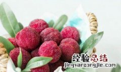 杨梅和韭菜能一起吃吗 杨梅和韭菜能一起吃吗