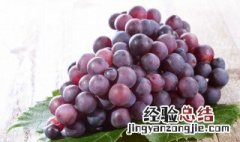 葡萄和牛奶能一起吃吗 葡萄和牛奶能一起吃吗早餐