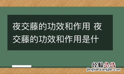 夜交藤的功效和作用 夜交藤的功效和作用是什么