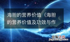 海胆的营养价值及功效与作用 海胆的营养价值