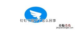 钉钉下载不了怎么回事
