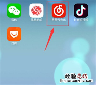 苹果网易云下载的歌曲在哪里