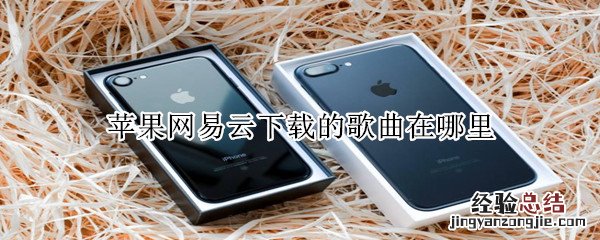 苹果网易云下载的歌曲在哪里