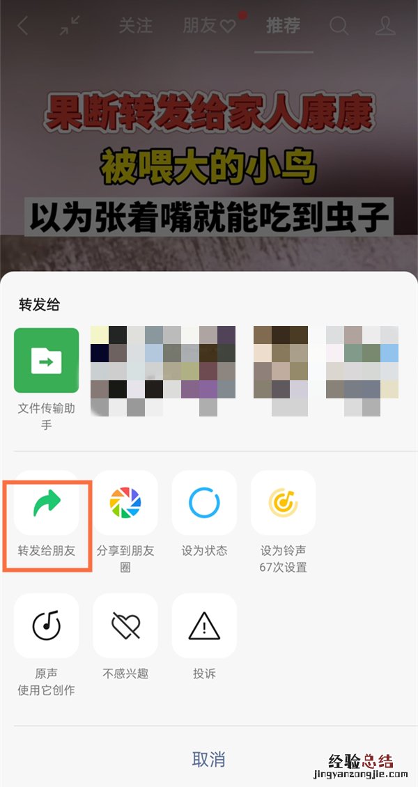 微信视频号怎么分享链接