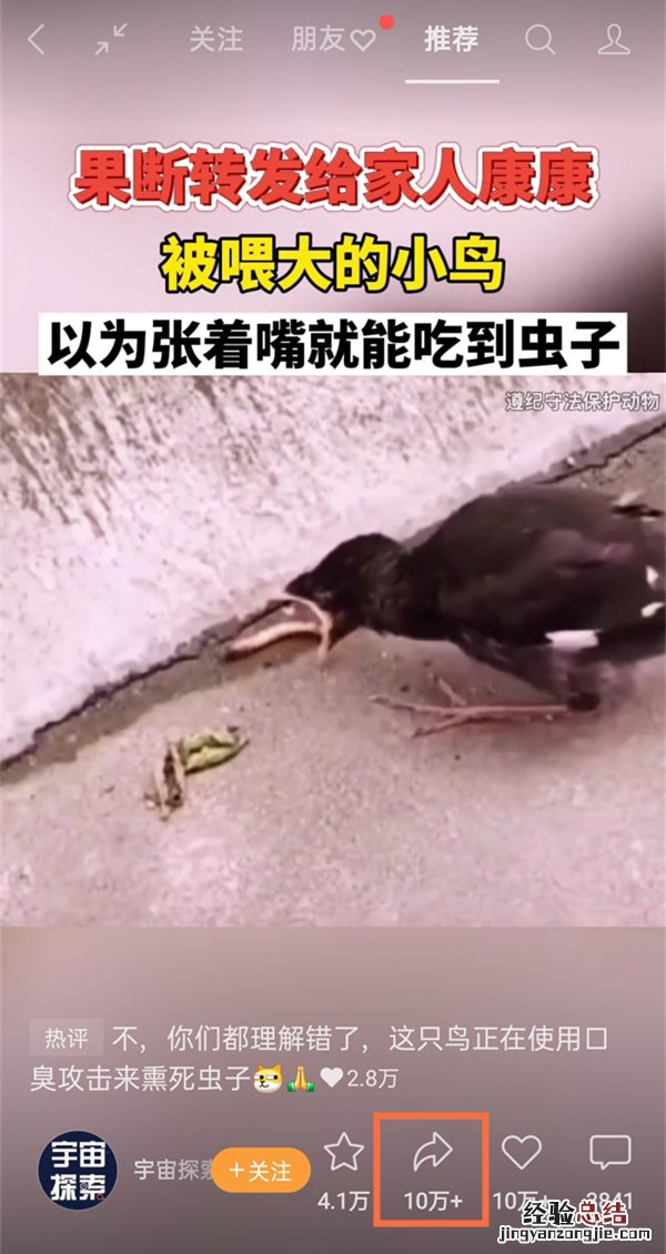 微信视频号怎么分享链接