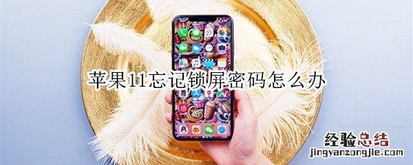 苹果11忘记锁屏密码怎么办