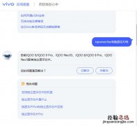 iqooneo5se有独显芯片吗