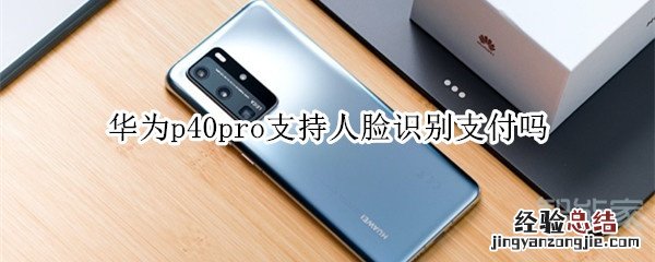 华为p40pro支持人脸识别支付吗