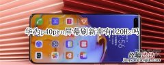 华为p40pro屏幕刷新率有120Hz吗