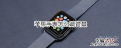 苹果手表怎么调音量