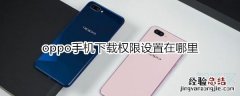 oppo手机下载权限设置在哪里