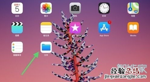 ipad网盘下载文件在哪
