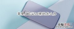 苹果11忘记id密码怎么办