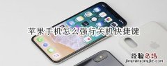 苹果手机怎么强行关机快捷键