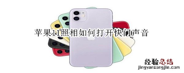 苹果11照相如何打开快门声音