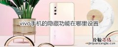 vivo手机的隐藏功能在哪里设置
