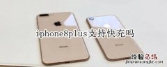iphone8plus支持快充吗