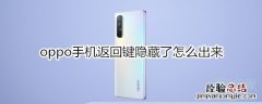 oppo手机返回键隐藏了怎么出来