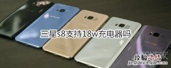 三星s8支持18w充电器吗