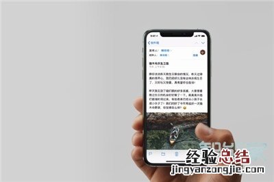 苹果11怎么清理看的内容