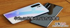 华为p30屏幕上有没有音量键