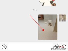 微信怎么把表情包保存到手机相册